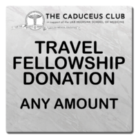 Travel Fellowship Donation